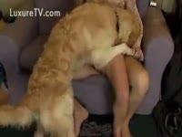 Threesome with couple's pet